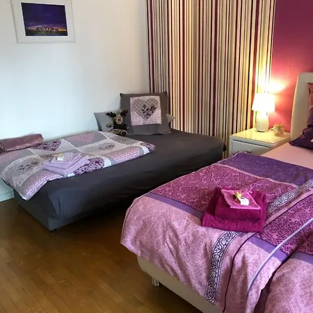 Haus Zissi 度假居