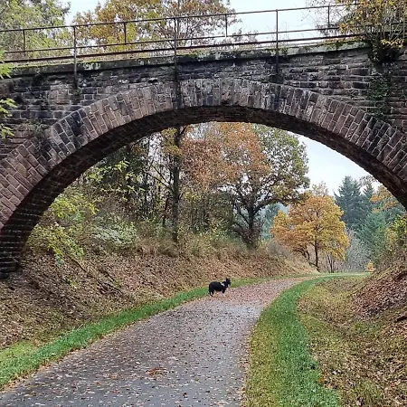 Haus Zissi * 伯格罗伊兰